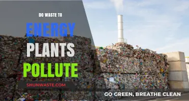 Waste-to-Energy Plants: Pollution or Solution?