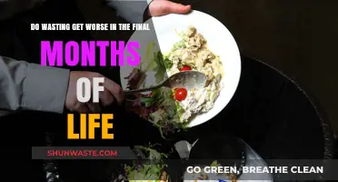 Does Wasting Intensify in the Final Months of Life?