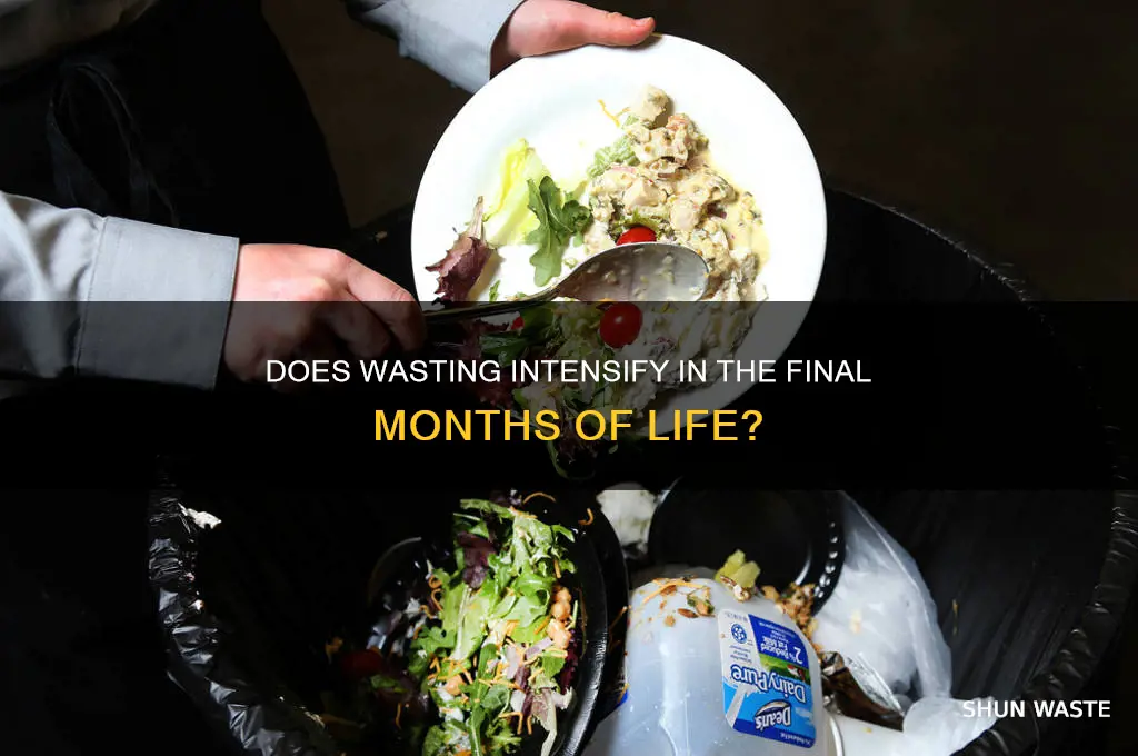 do wasting get worse in the final months of life