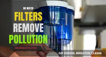 Water Filters: Effective Pollution Removers or Just a Myth?