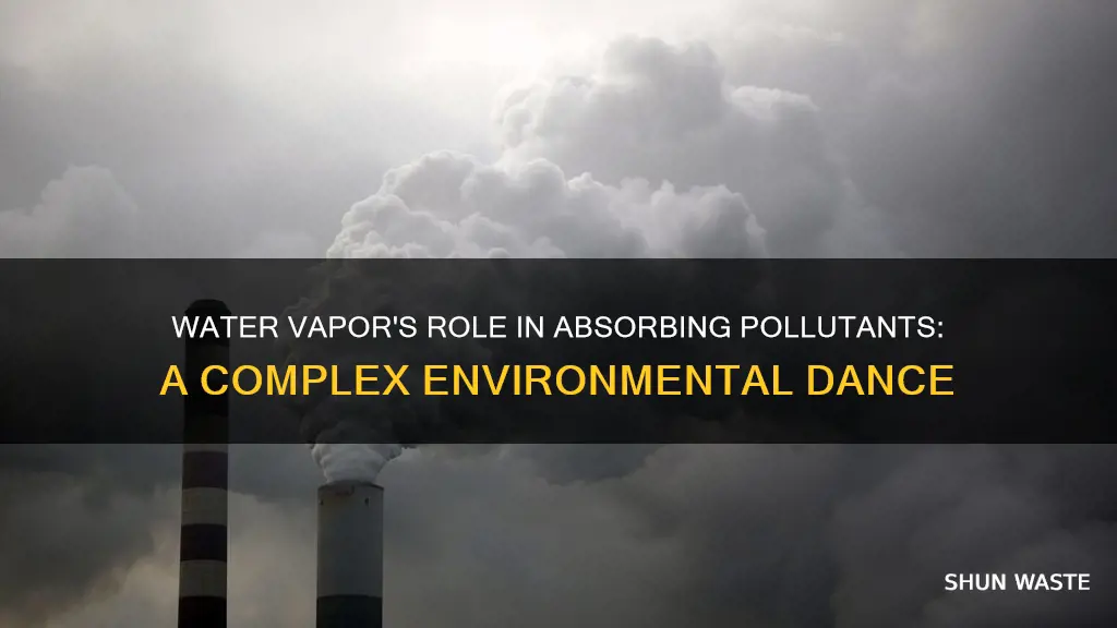 do water vapor absorbs pollutant gases