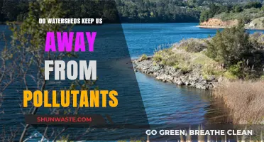 Watersheds: Protecting Us from Pollutants?