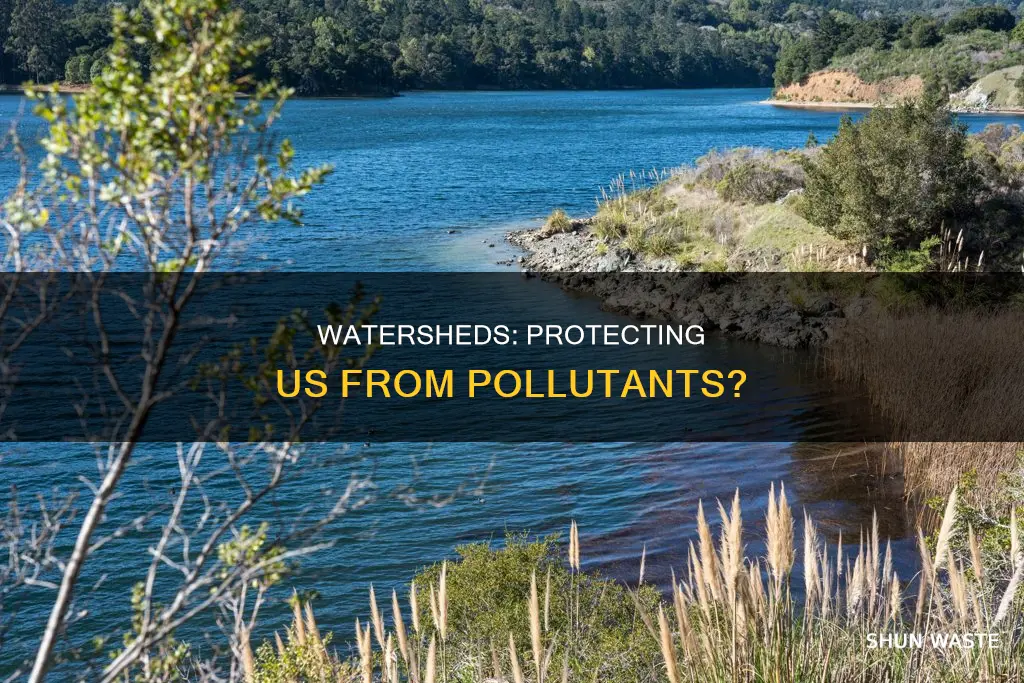 do watersheds keep us away from pollutants