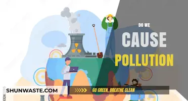 Human Impact: Are We the Real Pollutants?