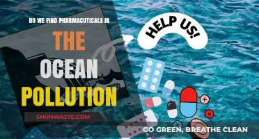 Ocean Pollution: Pharmaceuticals' Impact on Marine Life