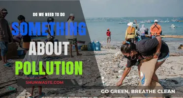 Addressing Pollution: What Action Should We Take?