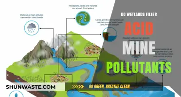 Wetlands: Nature's Filter for Acid Mine Pollution?