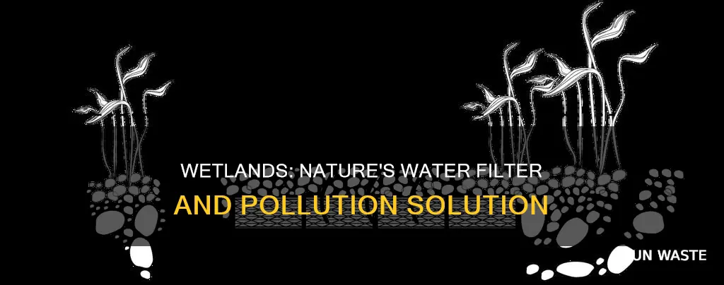 do wetlands filter pollutants