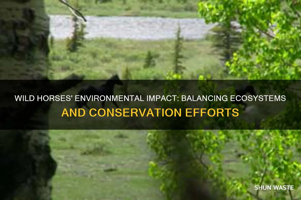 do wild horses affect the environment