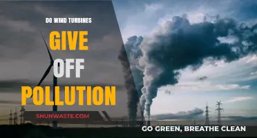 Wind Turbines: Pollution or Clean Energy?
