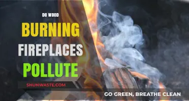 Wood-Burning Fireplaces: Polluting Our Planet?