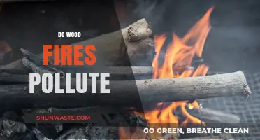 Wood Fires: Polluting Our Planet?