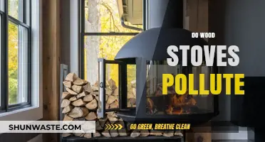 Wood Stoves: Polluting or Not?