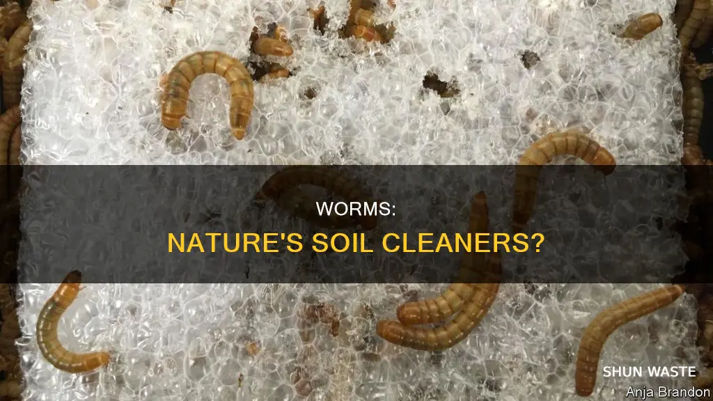 do worms help break down soil pollutants