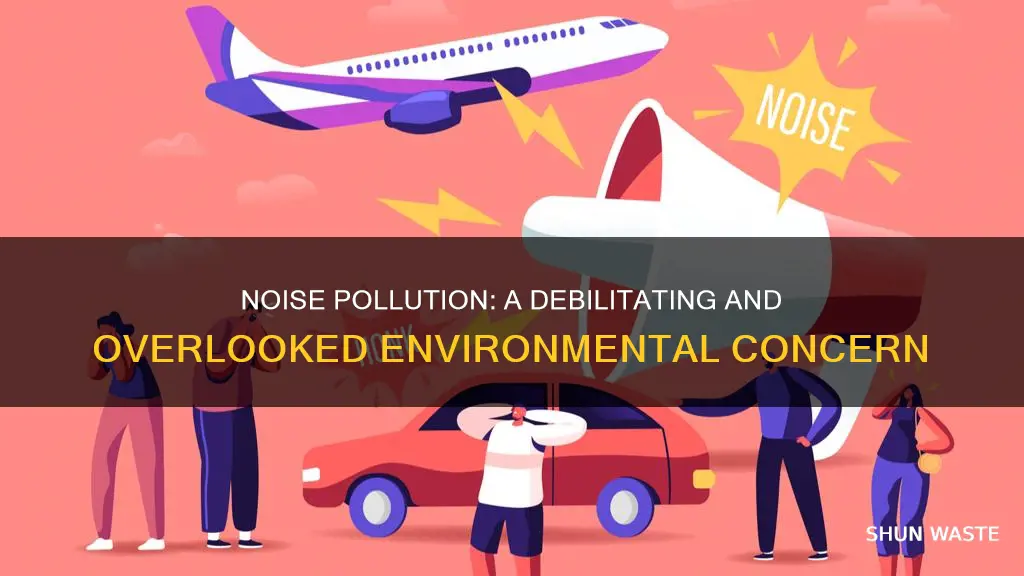 do you believe that noise can be considered pollution