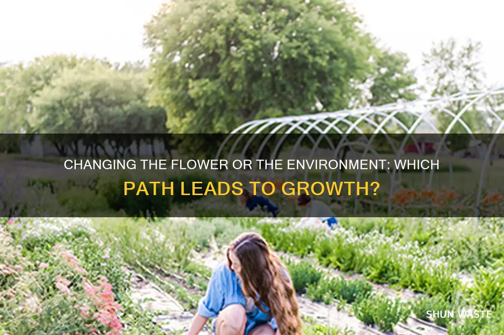 do you change the flower or the environment