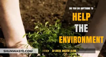 Eco-Friendly Habits: Simple Ways to Protect Our Planet Daily