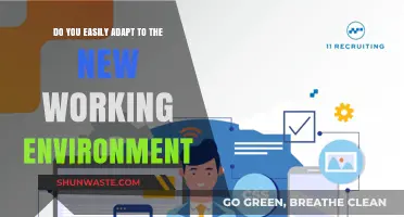 Mastering Change: How to Seamlessly Adapt to New Work Environments