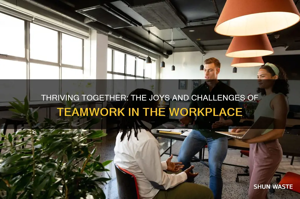 do you enjoy working in a team environment