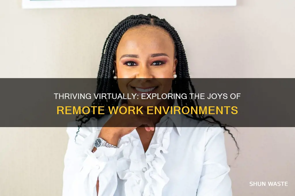 do you enjoy working in a virtual environment