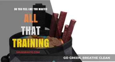 Did Your Hard-Earned Training Go to Waste? Reflect and Reassess