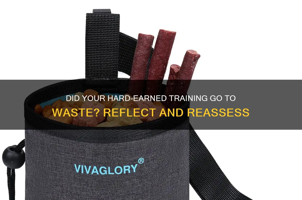 do you feel like you wasted all that training
