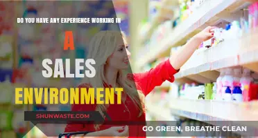 Mastering Sales: Leveraging Experience in Dynamic Selling Environments