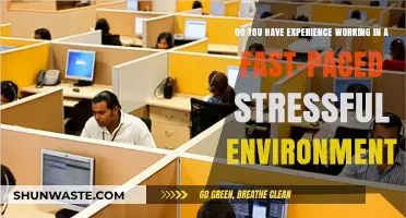 Thriving Under Pressure: Navigating Fast-Paced, Stressful Work Environments