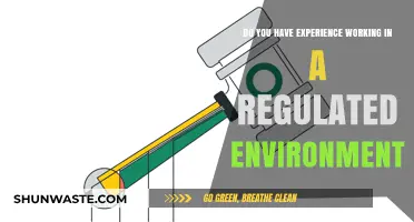 Navigating Compliance: My Experience in Regulated Work Environments