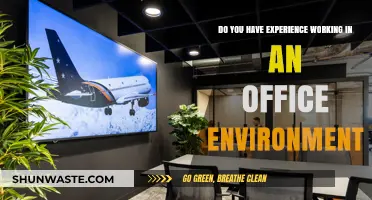 Office Experience: Skills, Challenges, and Success in Workplace Environments
