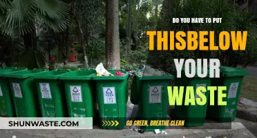 Waste Disposal Rules: Where to Place Items Below Your Waste