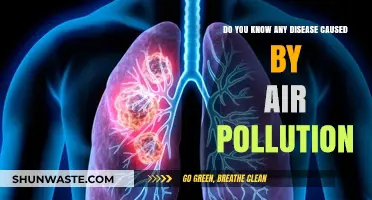 Air Pollution's Hidden Health Hazards: Unveiling the Unknown Diseases