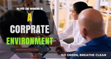 Corporate Culture: Love It or Leave It? Exploring Workplace Preferences