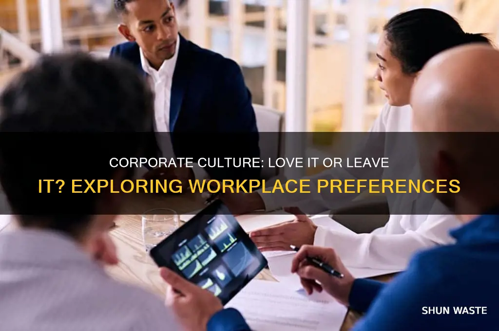 do you like working in a corprate environment