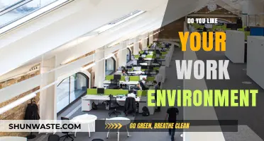 Do You Like Your Work Environment? Reflecting on Workplace Satisfaction