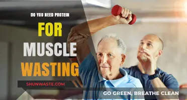 Protein's Role in Preventing Muscle Wasting: Essential or Optional?