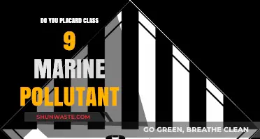 Understanding Placarding for Class 9 Marine Pollutants