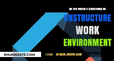 Structured vs. Unstructured Workplaces: Which Environment Boosts Your Productivity?