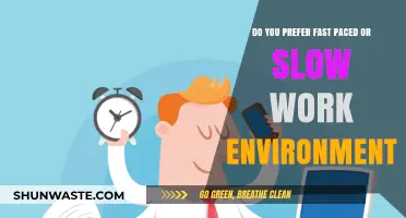 Fast-Paced vs. Slow Workplaces: Which Environment Suits You Best?