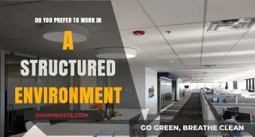 Structured Workplaces: Do You Thrive in Order or Crave Flexibility?