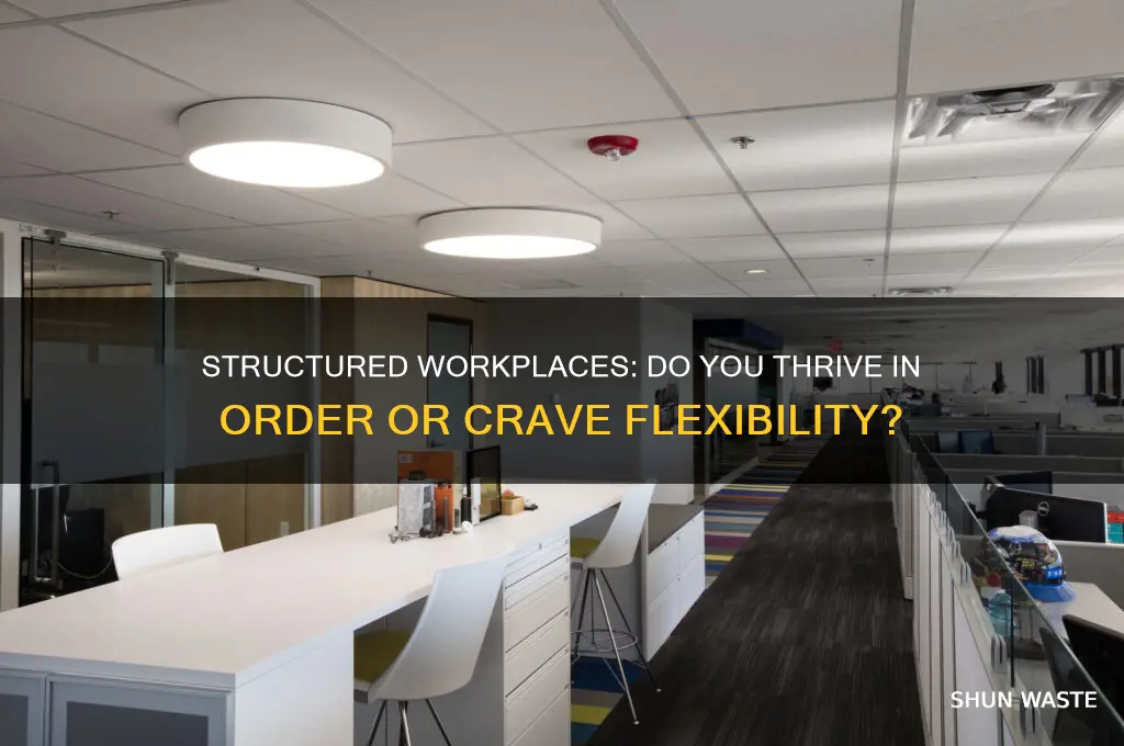 do you prefer to work in a structured environment