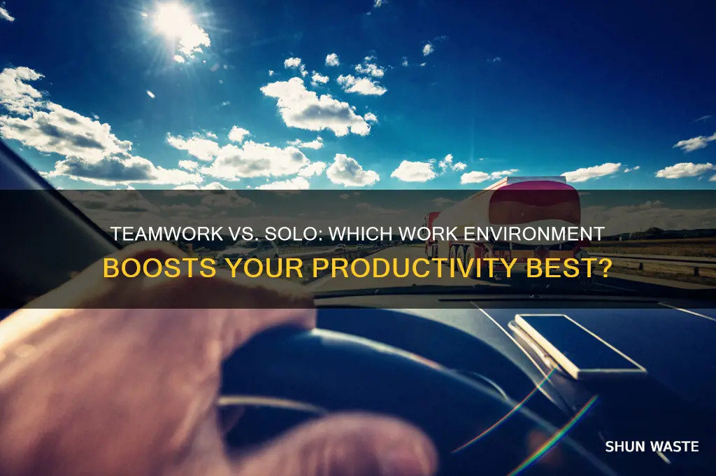 do you prefer working in a team environment or alone