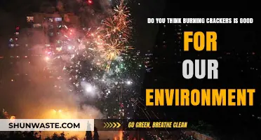 Cracker Burning: Environmental Hazard or Harmless Tradition?