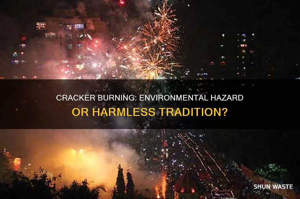do you think burning crackers is good for our environment