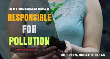 Our Future: Individual Responsibility for Pollution