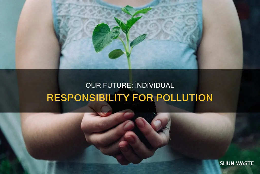 do you think individuals should be responsible for pollution