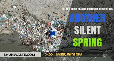 Plastic Pollution: A New Silent Spring?
