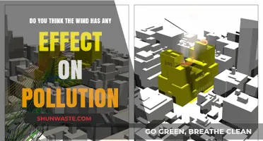 How Wind Affects Pollution Levels