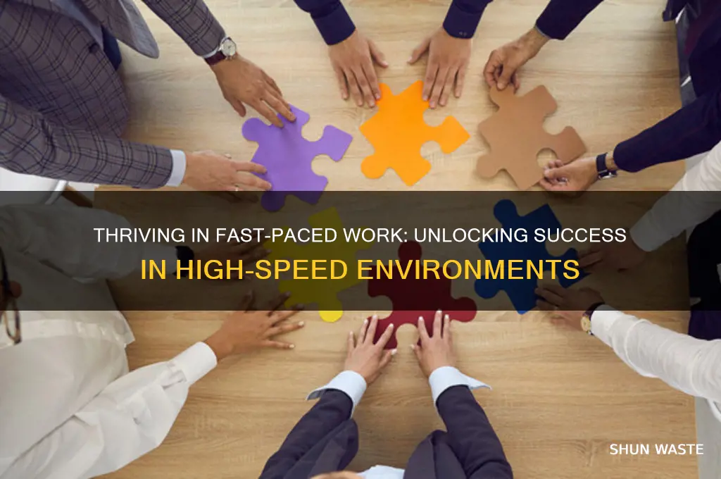 do you thrive in a fast paced work environment why
