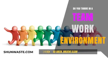 Thriving Together: Mastering Teamwork for Success in Collaborative Environments